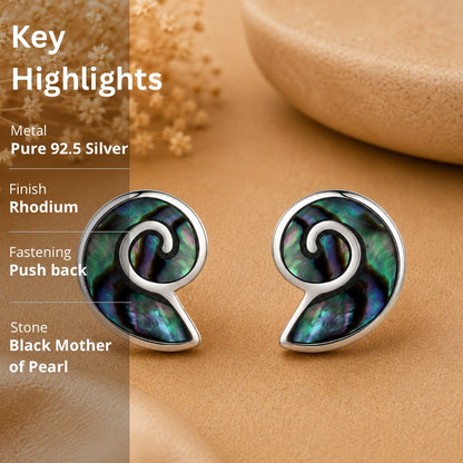 Abalone Shell Nautilus Stud Earrings in 925 Sterling Silver